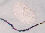 nestdetail.jpg